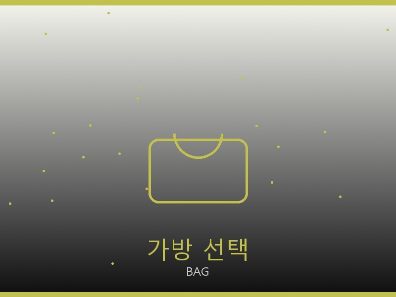 폴로 레플리카 사이트 가방 선택 가이드
