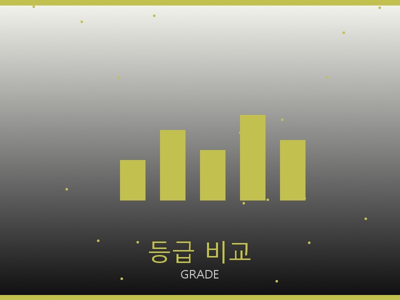 폴로 레플리카 사이트 등급 기준 비교
